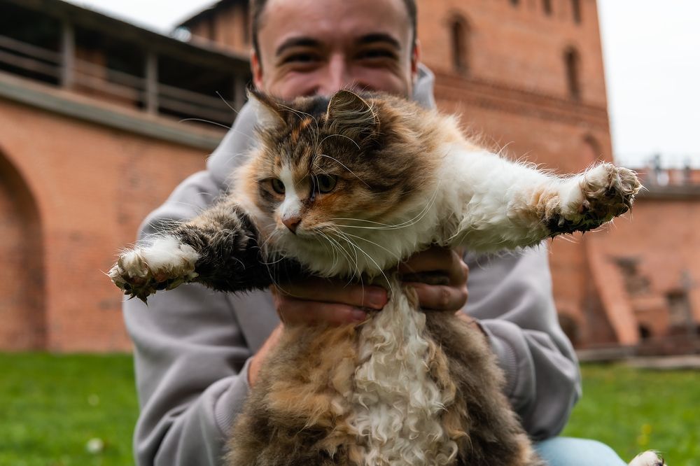 Photograph by Егор Ставер