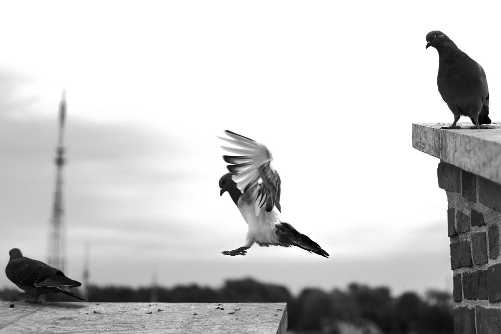 Photograph by Егор Ставер