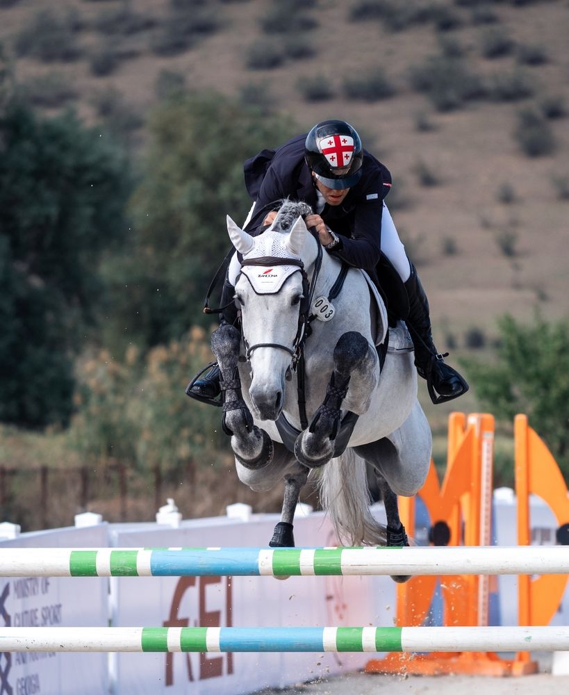Horse show jumping competition