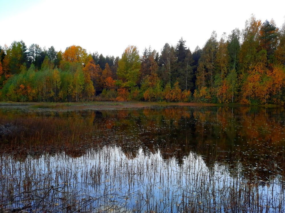 Photograph by Сергей Назаредский