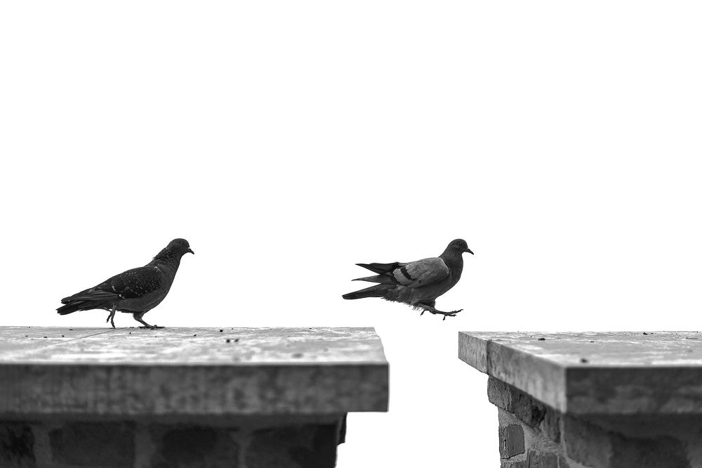 Photograph by Егор Ставер