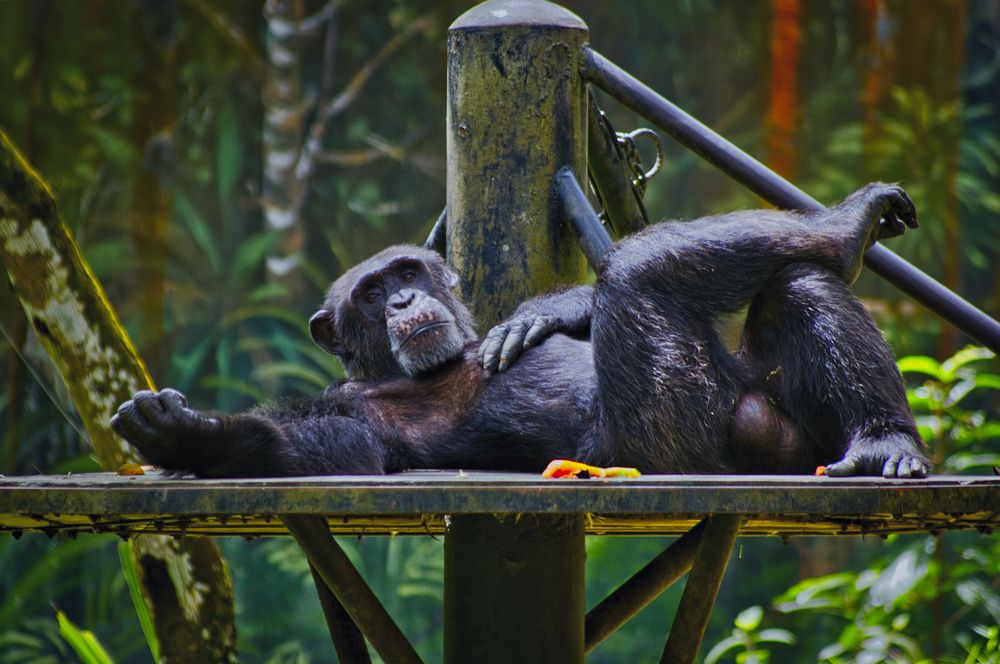 Photograph by Анвар Сейфуллин