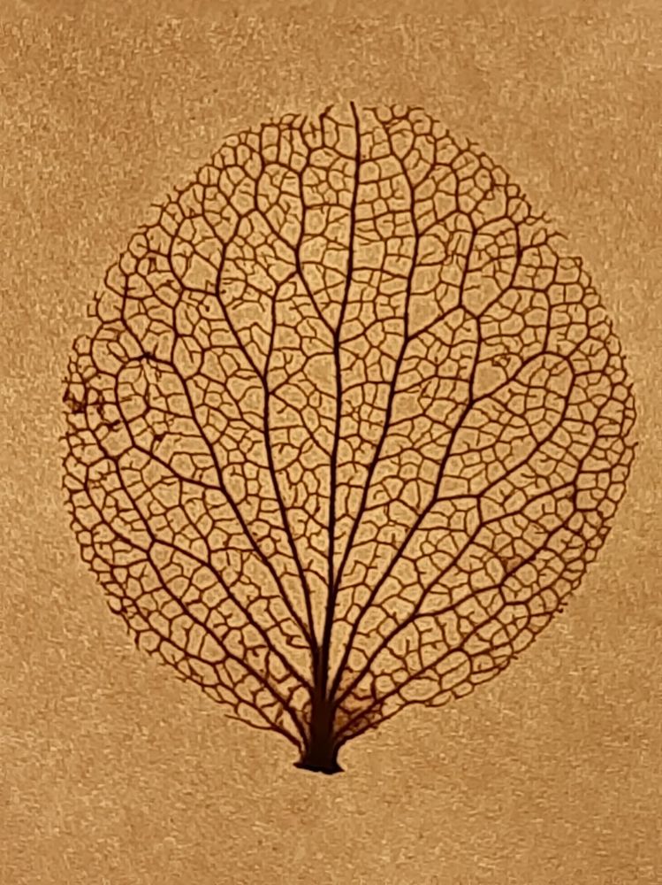 Photograph by Дарья Бобылева