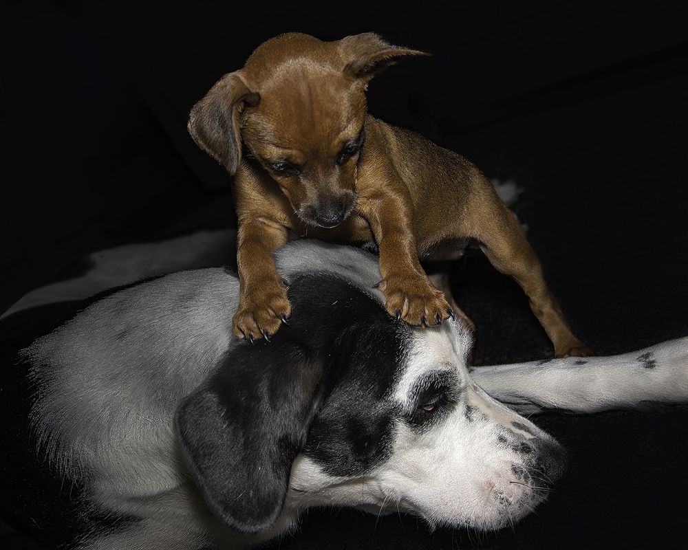 Фотография автора Ray Asiala