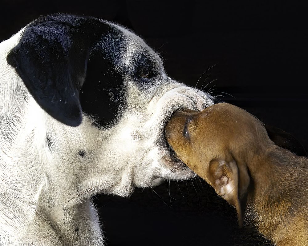 Photograph by Ray Asiala