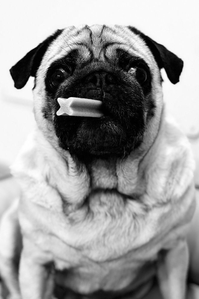 Photograph by Pablo Abreu