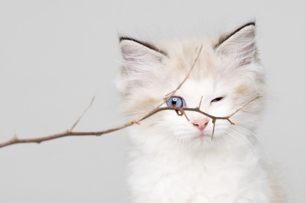 Photograph by Yuri Boichenko