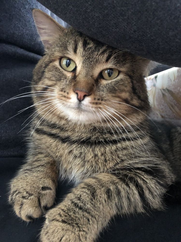 Photograph by Ирина Сбоева