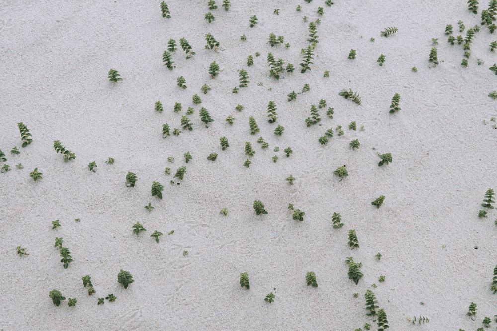 Photograph by Normunds Kaprano