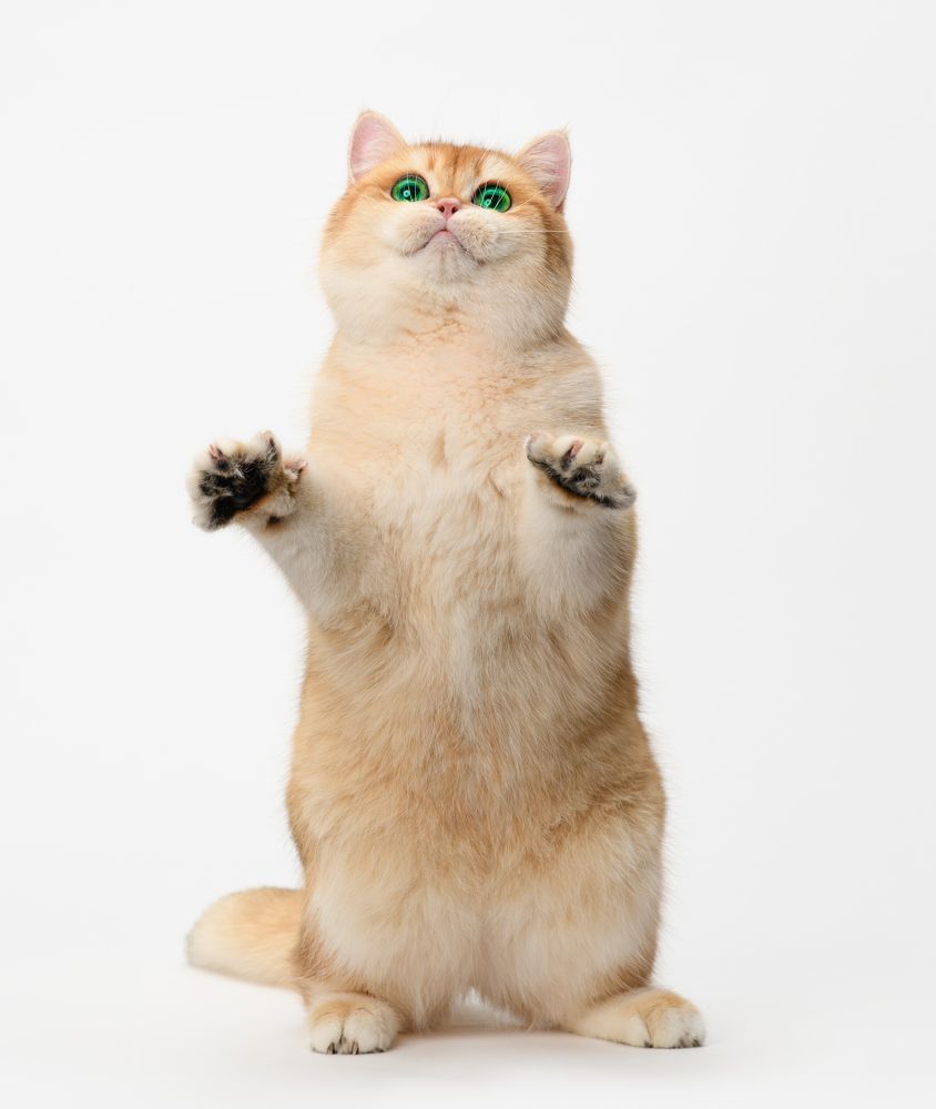 Photograph by Yuri Boichenko