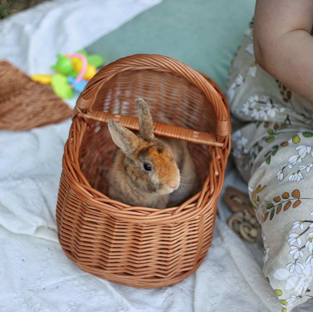 Photograph by Алсу Хусаинова