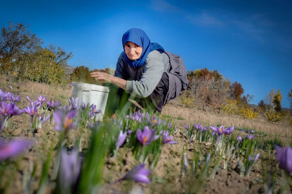 Фотография автора Mojtaba Gitinezhad