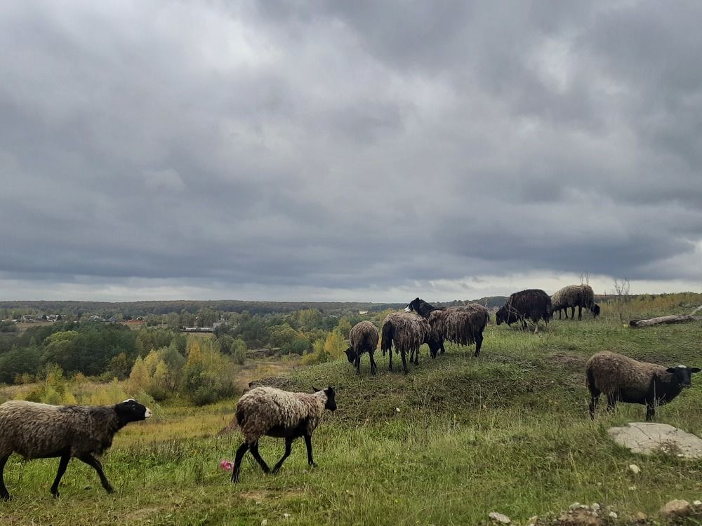 Photograph by Анастасия Алякина