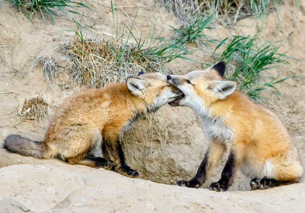 Photograph by Kristy Behnke