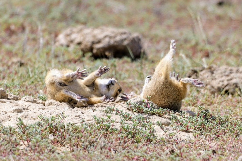 Photograph by Kristy Behnke