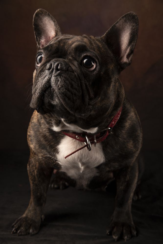 Photograph by Александр Чистоходов