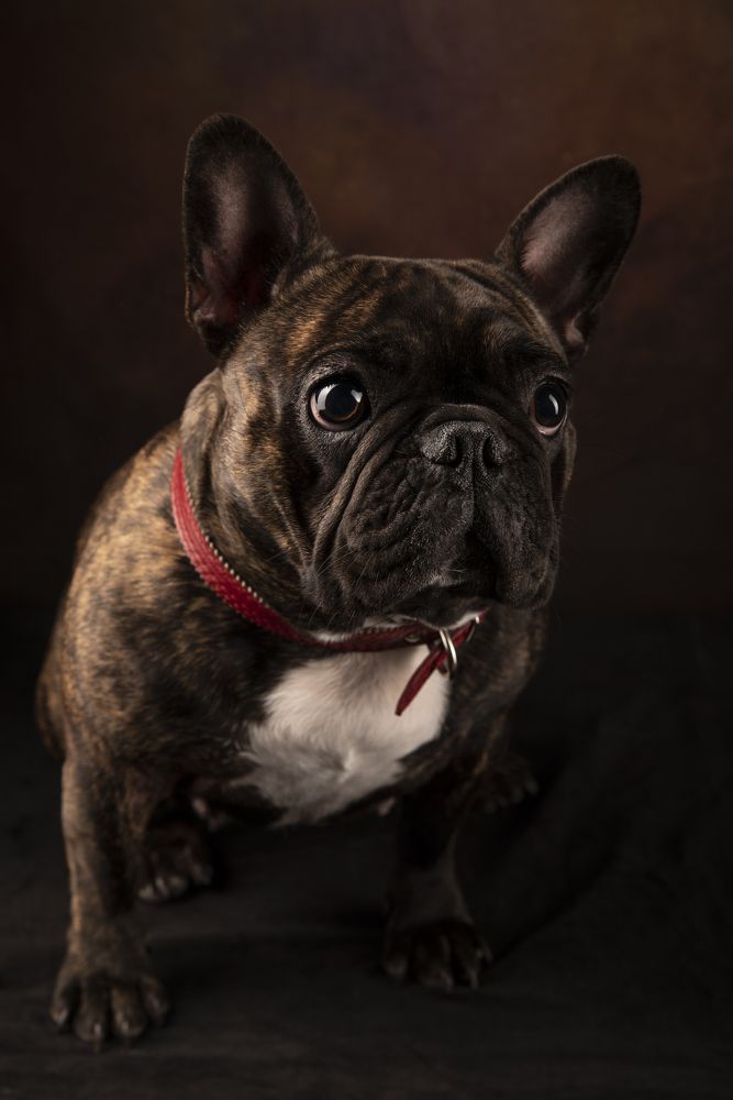 Photograph by Александр Чистоходов