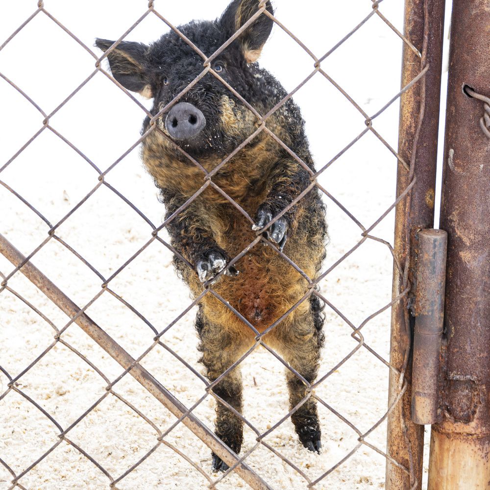 Фотография автора Каргин Валерий