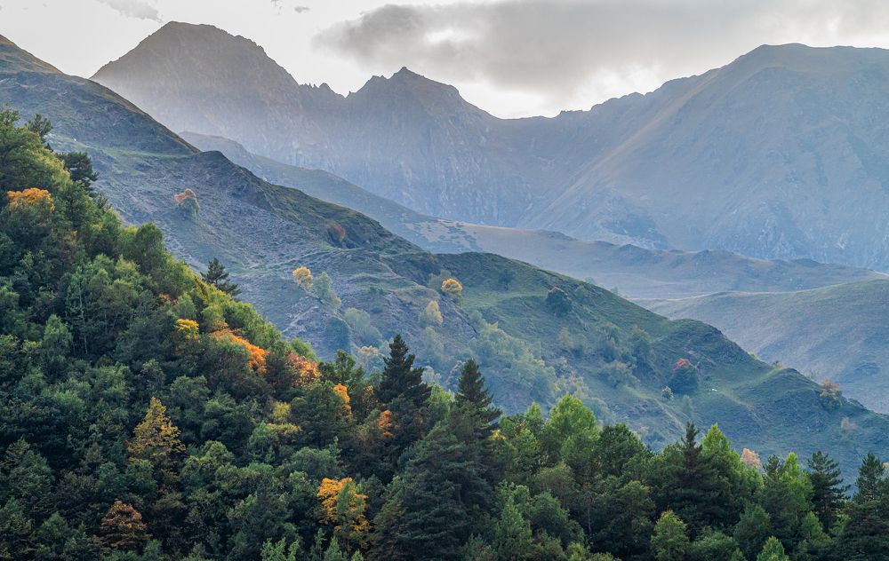 Photograph by Савчук Сергей