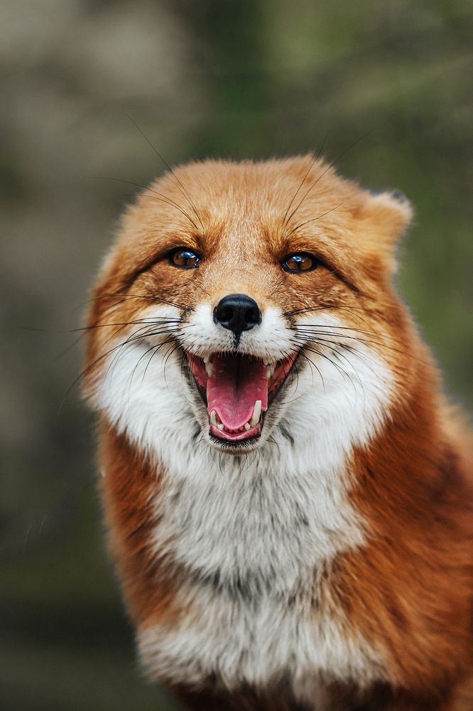 Photograph by Olga Matveeva