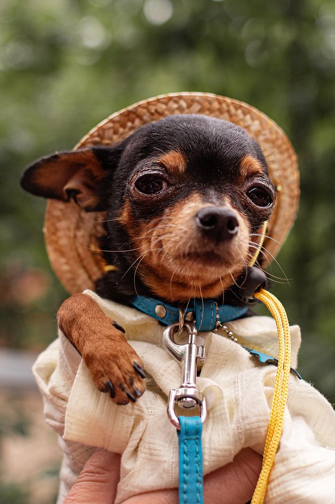 Photograph by Olga Matveeva