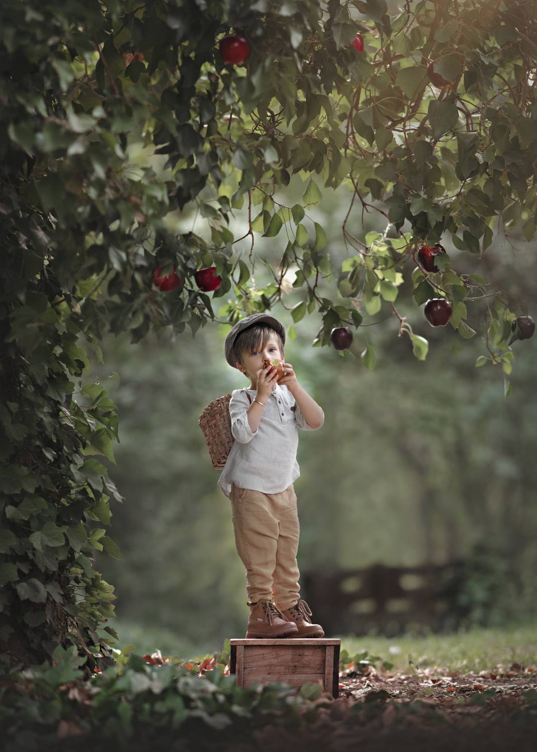 Фотография #9645325