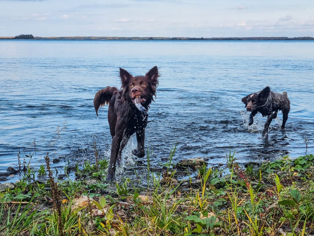 Photograph by Андрей Баталов