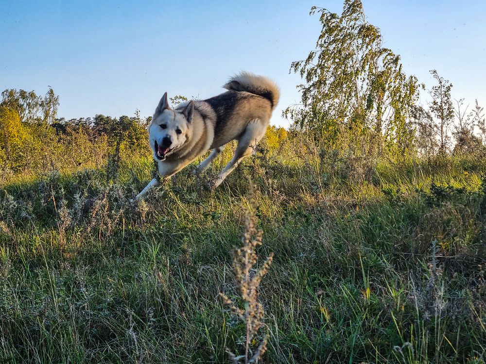 Photograph by Андрей Баталов