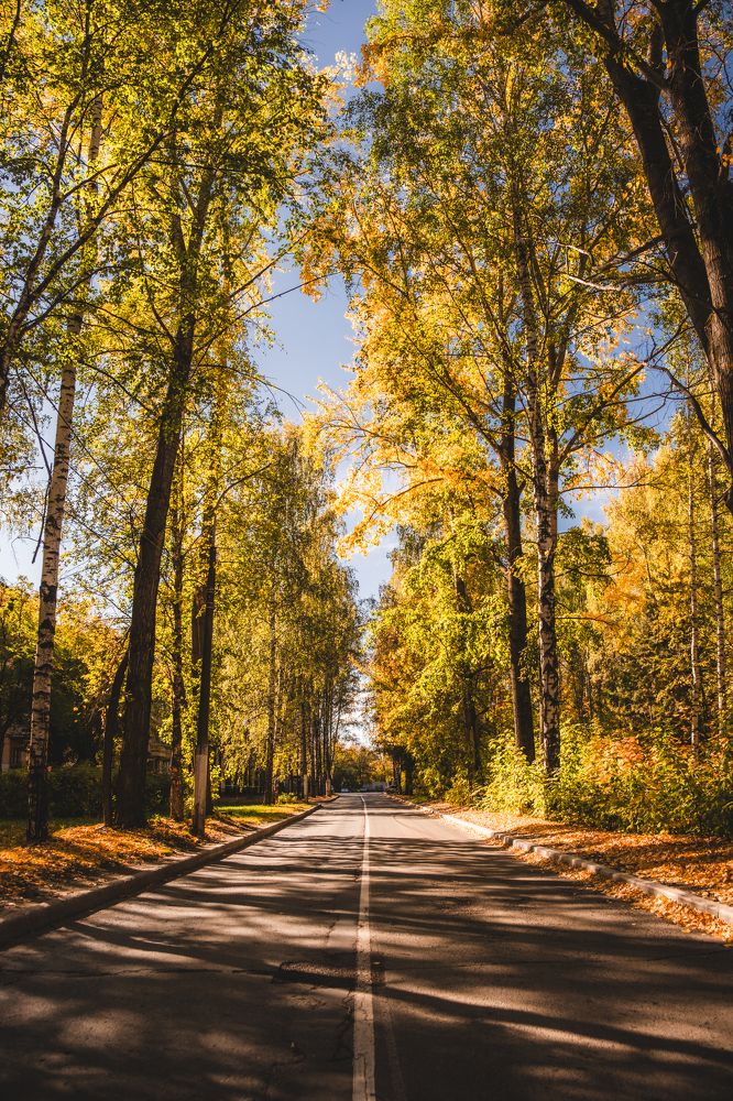 Photograph by Юрий Жарков