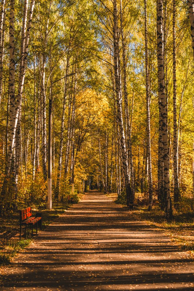 Photograph by Юрий Жарков