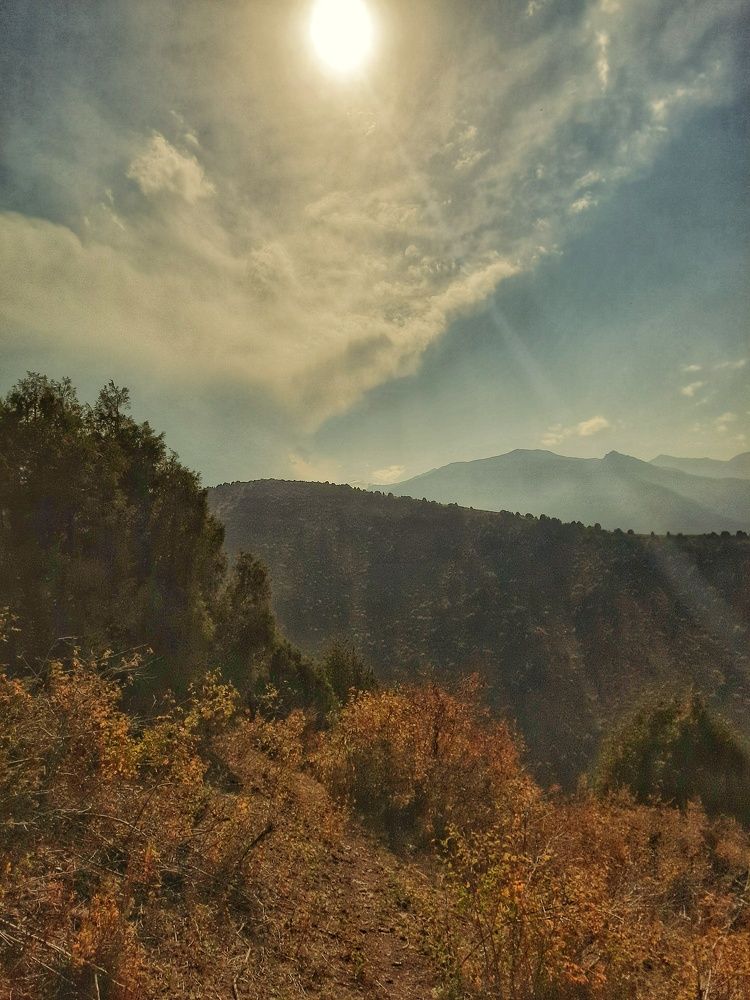 Photograph by Светлана Моисеева