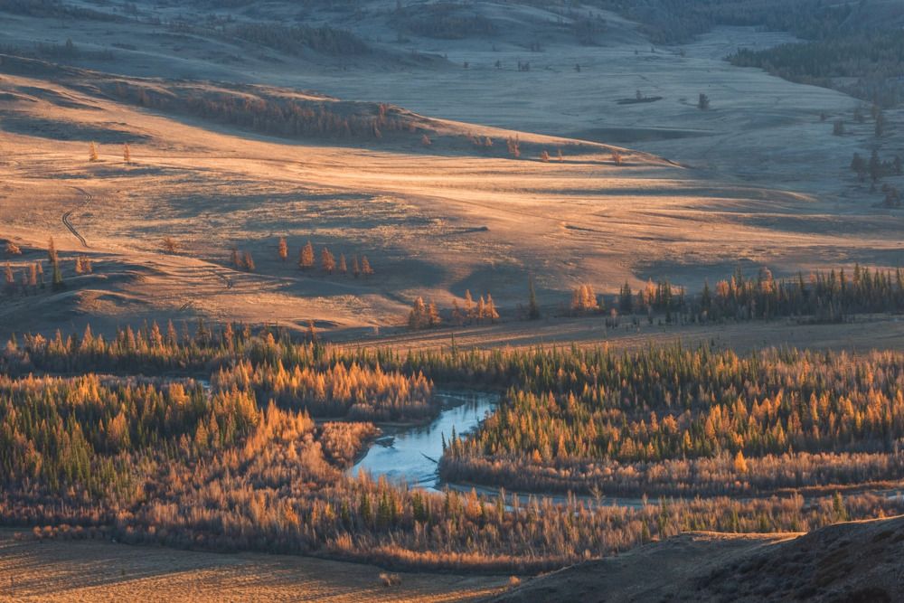 Photograph by Крицак Ольга