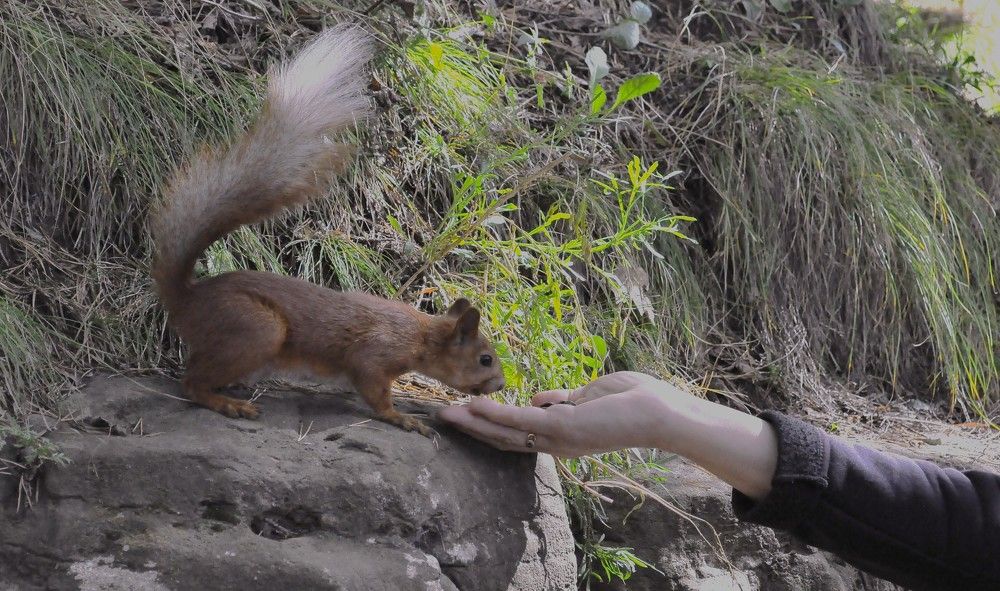 Photograph by Алекскандр Фатеев