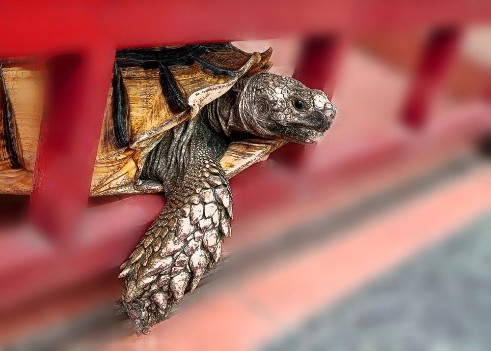 Photograph by Edi Hidayat