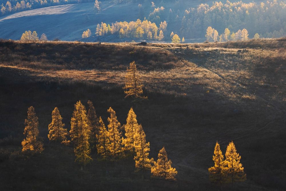 Photograph by Крицак Ольга