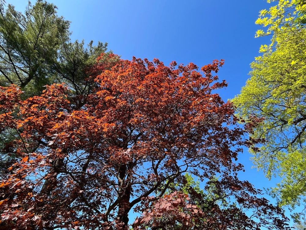 Photograph by Болдырева Ольга