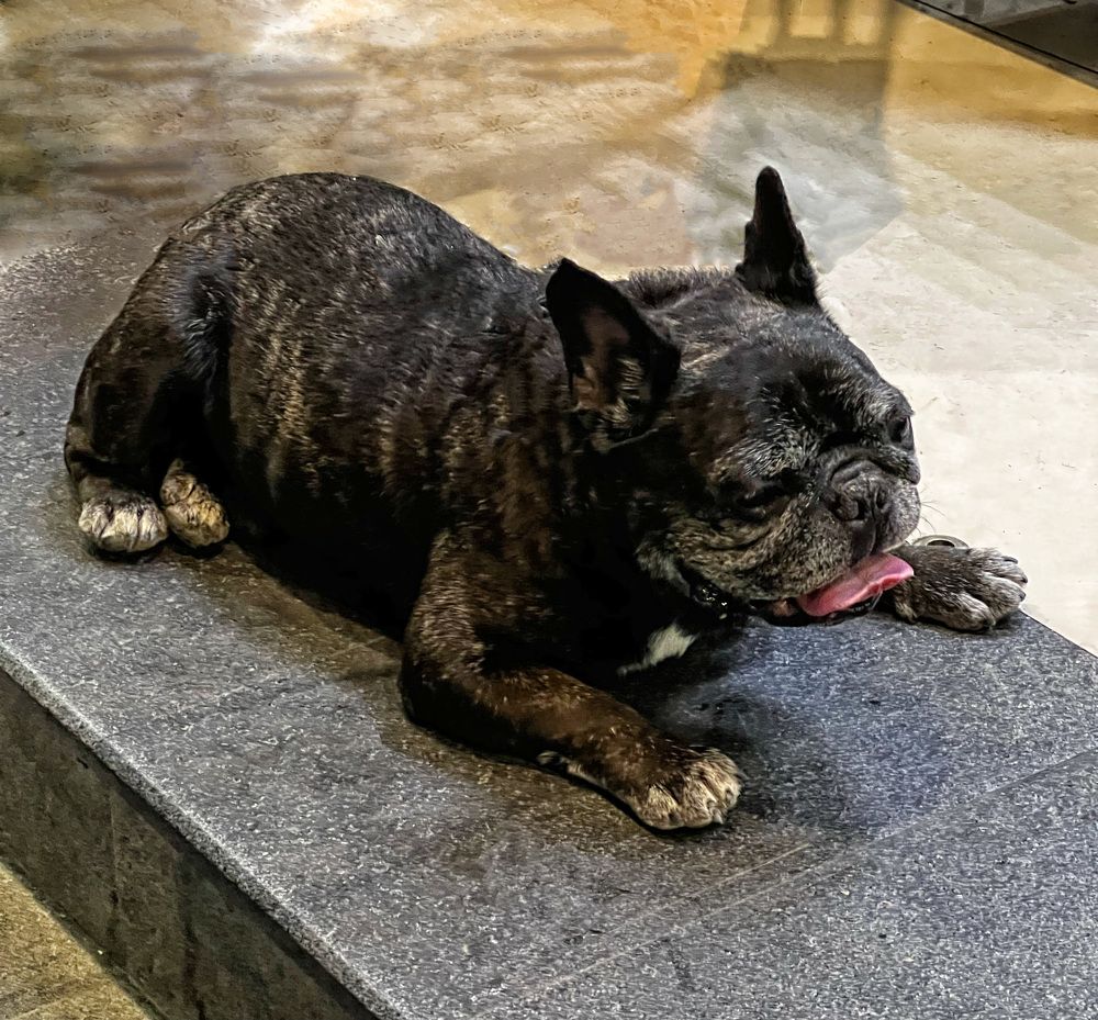 Photograph by Татьяна