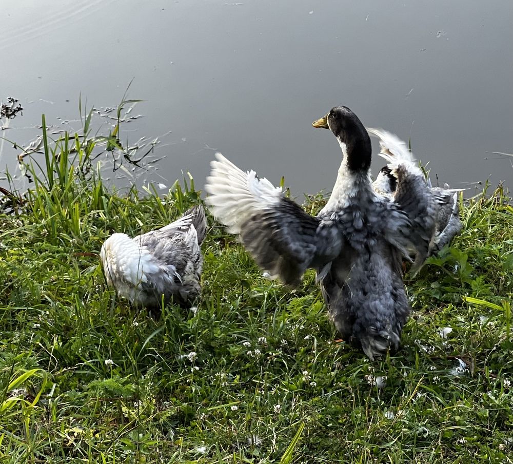 Photograph by Татьяна