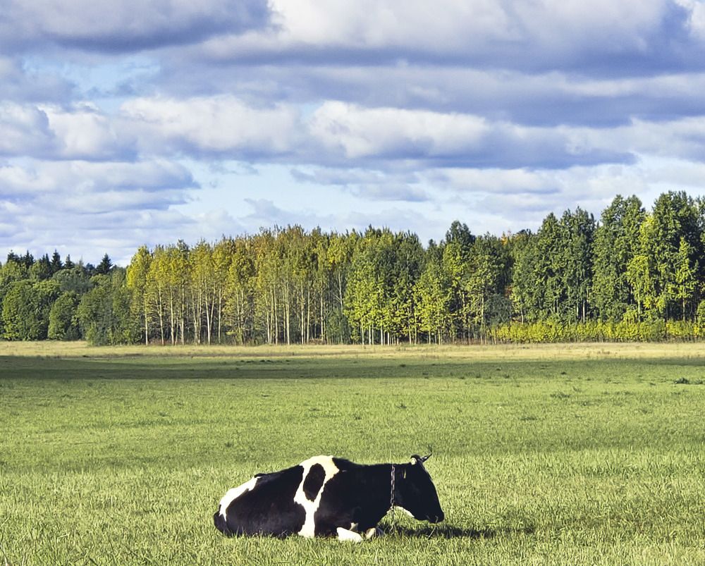 Photograph by Надежда Мякинина