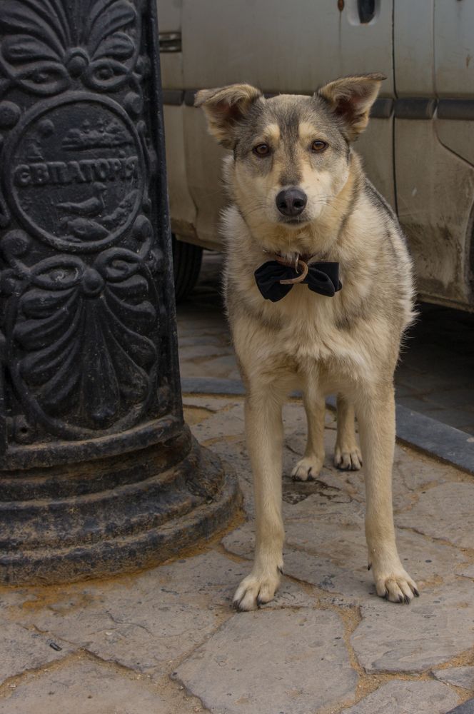 Фотография автора Ксения Смирнова