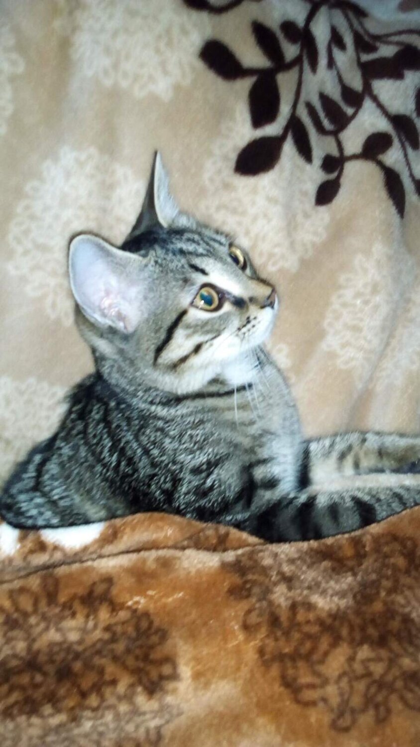 Photo #9645496