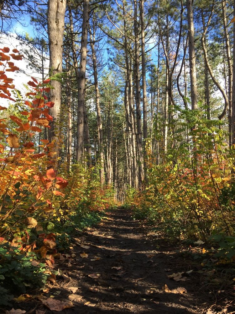 Photograph by Оксана Михайлова