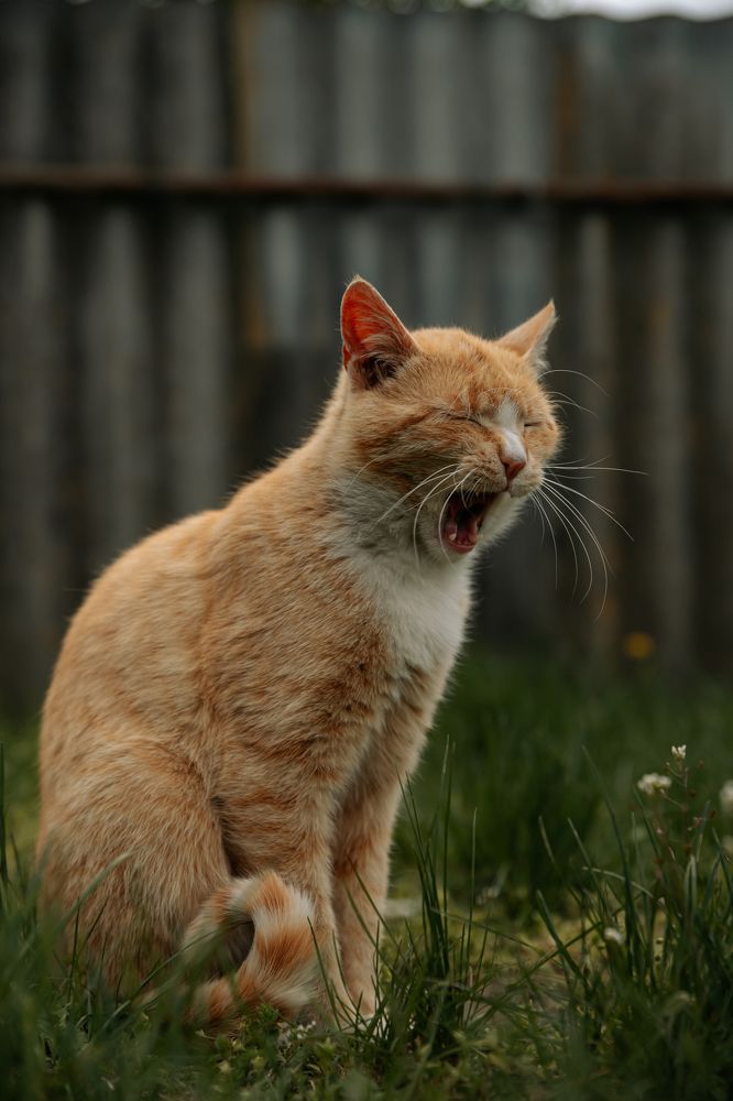 Фотография автора Лукашенко Ольга