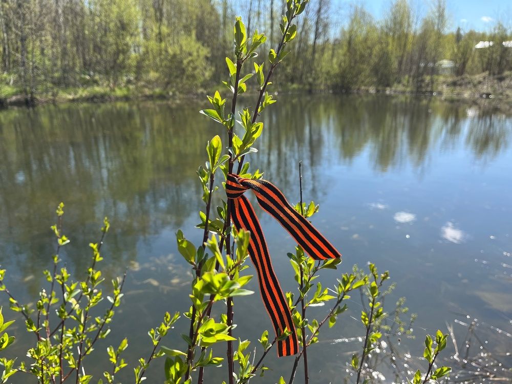 Photograph by Болдырева Ольга