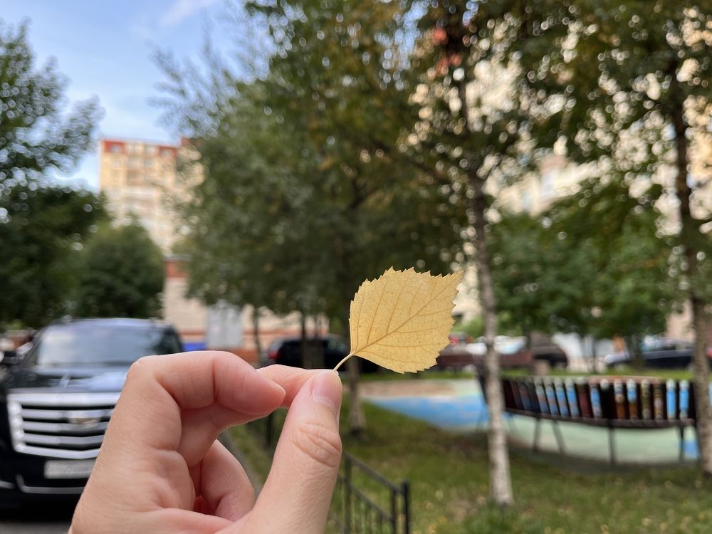 Photograph by Болдырева Ольга