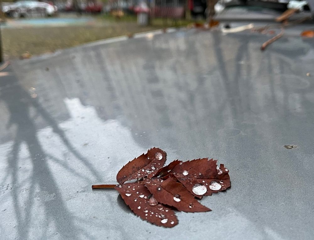 Photograph by Болдырева Ольга