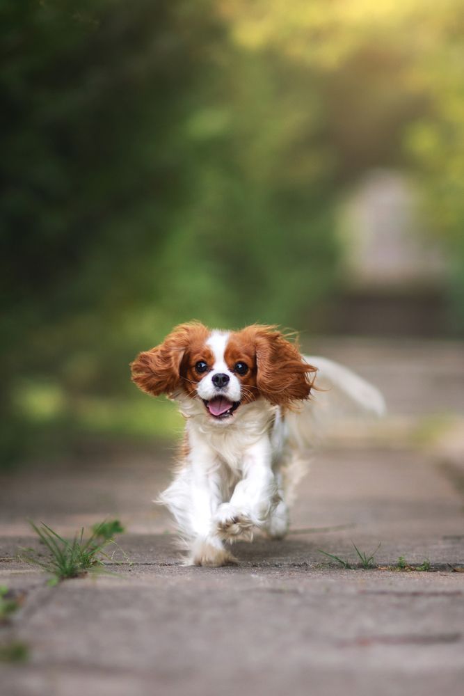 Photograph by Козел Марта