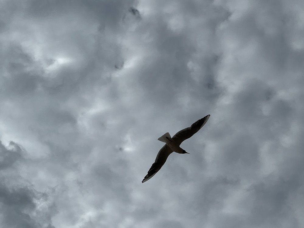 Photograph by Болдырева Ольга