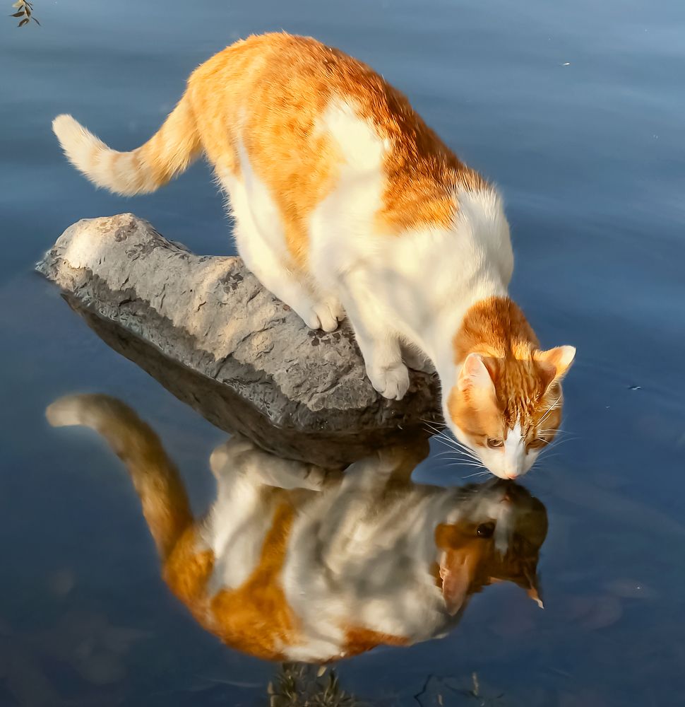 Photograph by Сергей Панюшкин