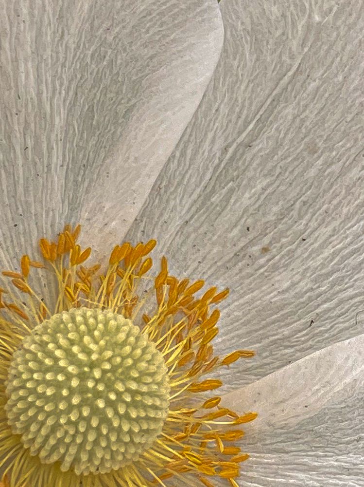 Photograph by Оксана Михайлова